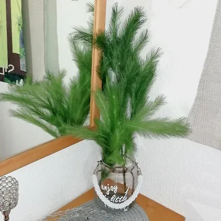 Cosy With Garden In Salzburger Land Apartment Walchen